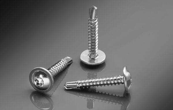 Torx Washer Head image