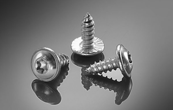 Washer Head Torx Sheet Metal Screw