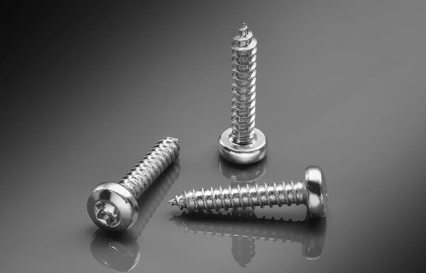 Torx Pan Sheet Metal Screw